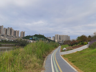 城郊河畔蜿蜒的多彩道路