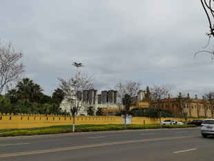 城市街道旁的开阔风景