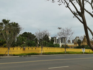 城市道路旁的多彩景观