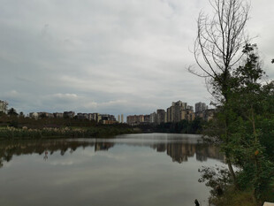 湖畔风景静谧城市水岸