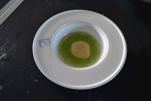 白色容器中的黄绿液体