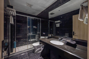 现代奢华风黑色系浴室