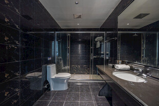 现代奢华风格的浴室空间