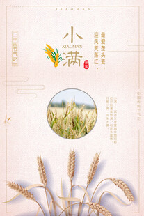 小满时节