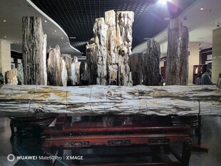 室内假山景观展示