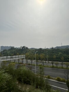 公路旁绿意盎然的自然景致