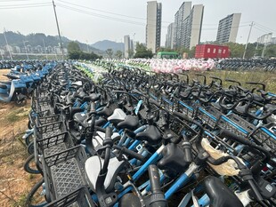 大量共享单车堆积场景