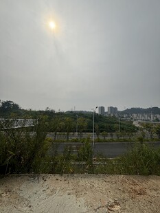 户外开阔风景