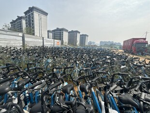密集停放的共享电动车场景