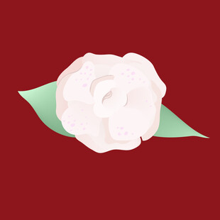 红色背景上的白色花朵