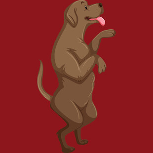 站立吐舌的俏皮狗狗