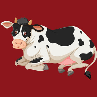 趴着的黑白花奶牛