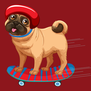 戴帽小狗玩滑板
