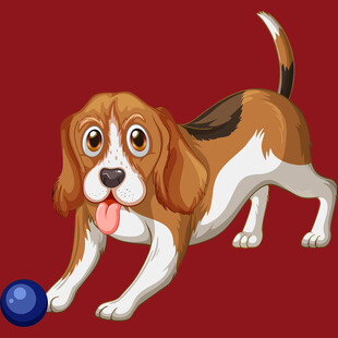 可爱比格犬玩蓝色球