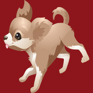 奔跑的吉娃娃小狗