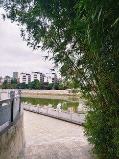 河畔小径 绿植环绕