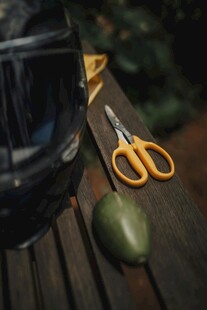 户外工具与绿植静物组合