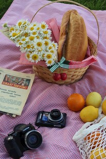 野餐篮中的美好时光
