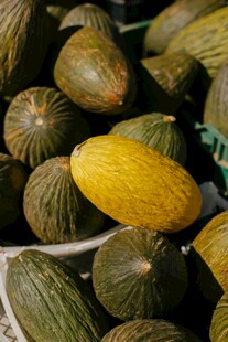 新鲜多样的甜瓜堆叠