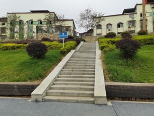校园阶梯旁的绿植与建筑