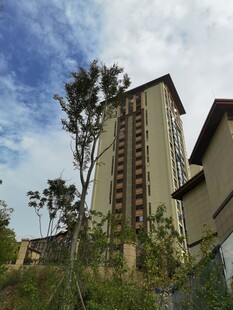 高层住宅旁的绿植景观