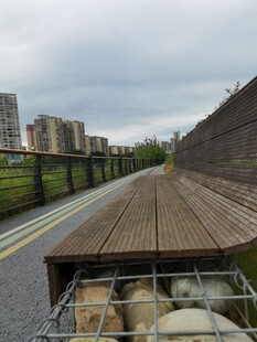 羊车行进在城郊道路上