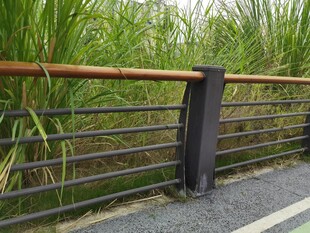 户外栏杆旁的葱郁绿植