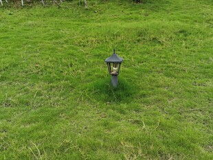 草坪上的精致小地灯