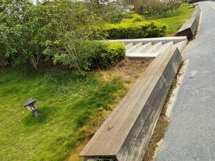 路边绿植与排水设施景观