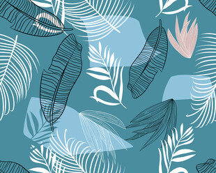 植物  色块花  叶子