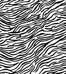 黑白 斑马纹 豹纹