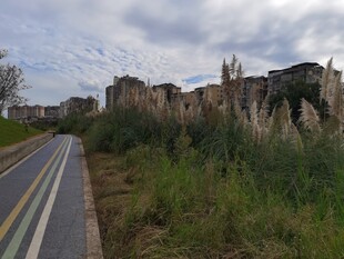 公路旁的古老遗迹