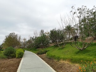 漫步林间小道邂逅自然之美