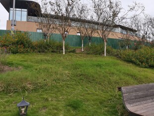 户外草地旁的现代建筑景观