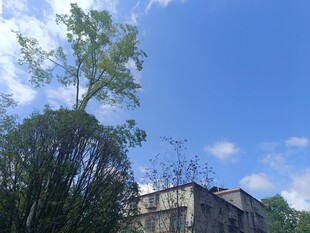 蓝天绿树旁的古朴建筑