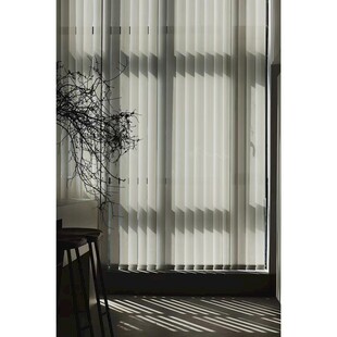 简约室内百叶窗前植物景致