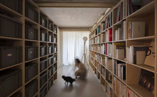 静谧书房中的一人一猫