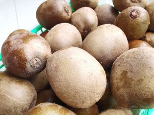 新鲜猕猴桃堆放在一起