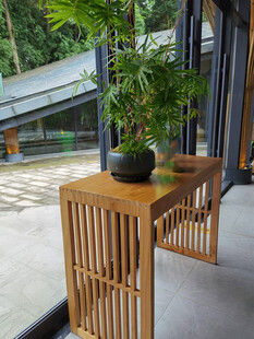 木质简约户外桌椅绿植景