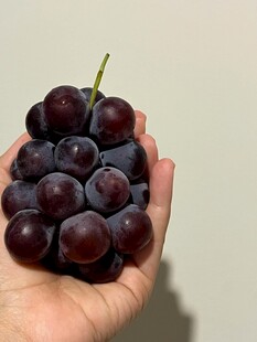 手捧紫葡萄 