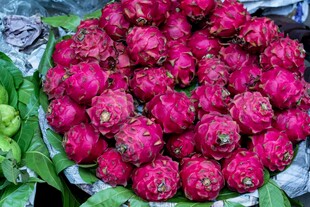 新鲜饱满的火龙果堆成小山