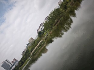 城市河畔绿树风景