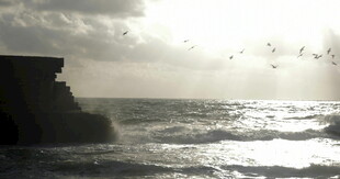 海边悬崖飞鸟壮丽景观