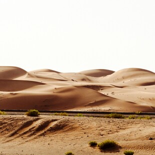 广袤沙漠中的起伏沙丘