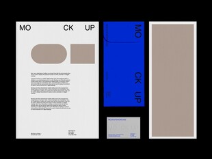 简约风格品牌视觉设计展示