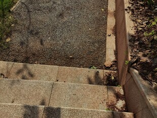 猫咪趴卧在石阶旁