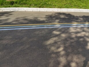 路面光影与绿植景致