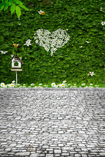 心形绿植墙下的石板小径