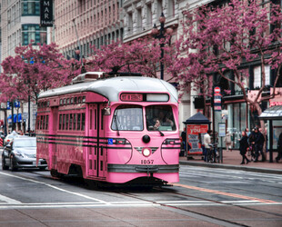 粉色有轨电车穿行繁花街道