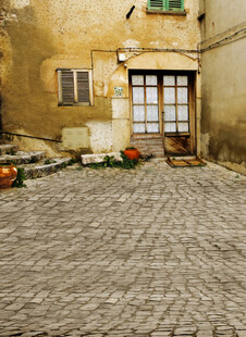 古朴庭院中的砖石与花卉